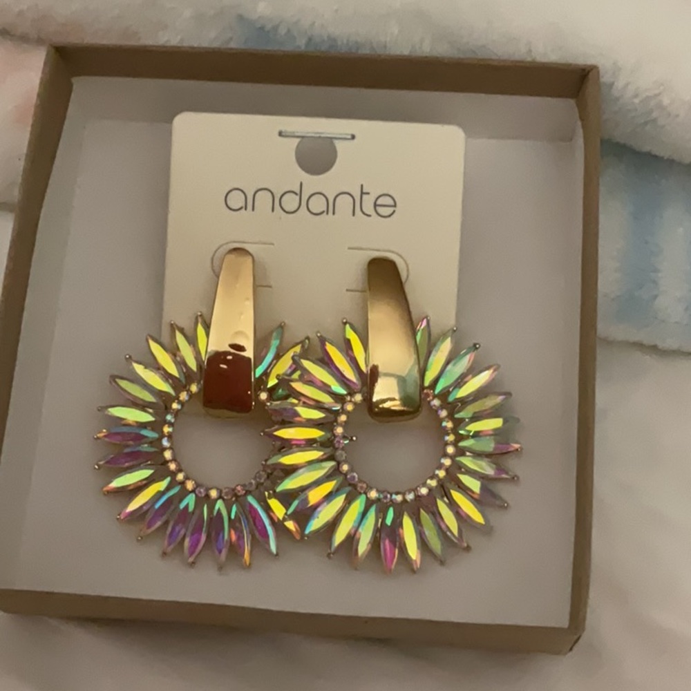 Andante earrings. Never worn. New